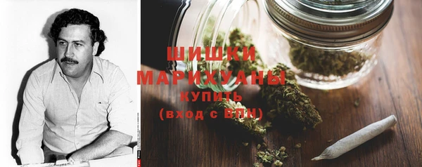 молекула духа Богданович