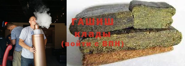 молекула духа Богданович