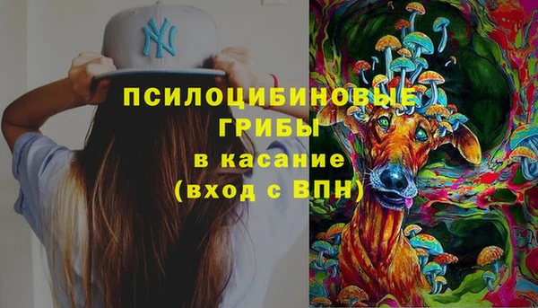 молекула духа Богородицк