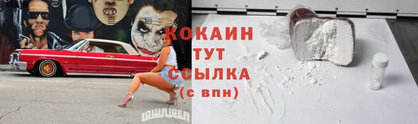 молекула духа Богородицк