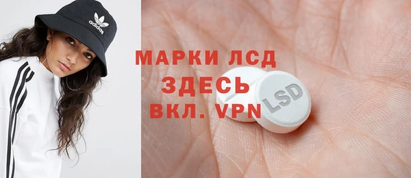 молекула духа Богородицк