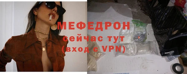 молекула духа Богданович