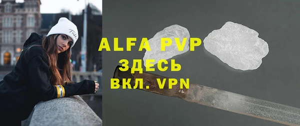 молекула духа Богданович