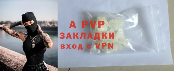 молекула духа Богородицк