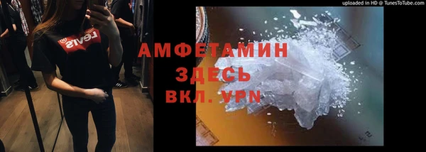 молекула духа Богданович