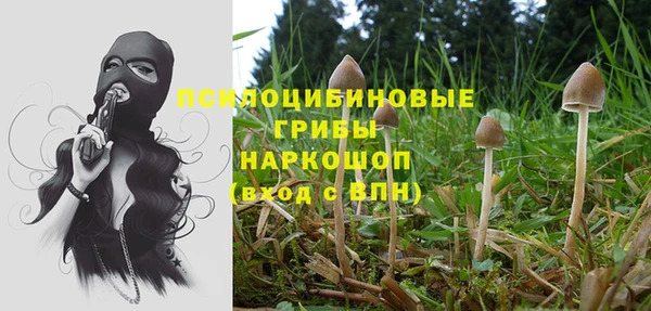 мескалин Богородск