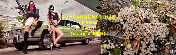 молекула духа Богданович