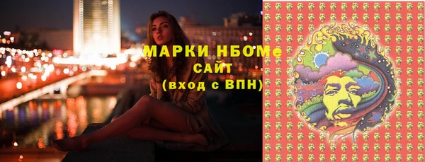 молекула духа Богородицк