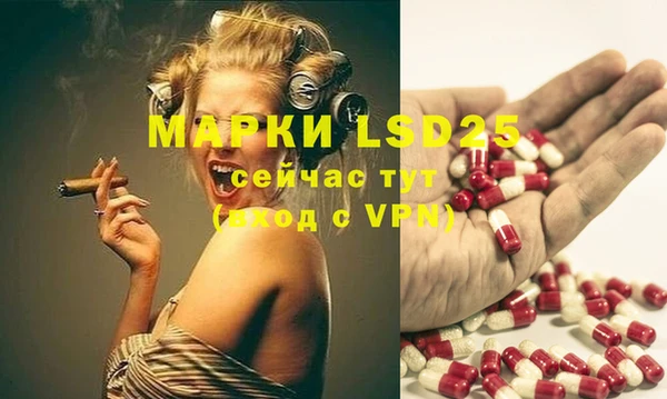 молекула духа Богданович