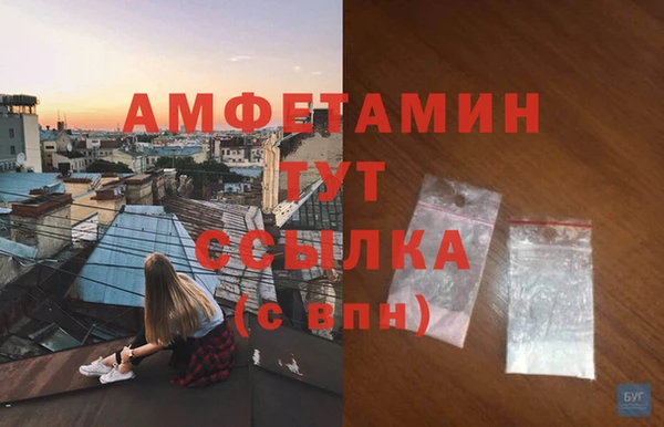 молекула духа Богородицк