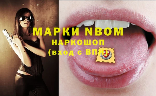 молекула духа Богданович