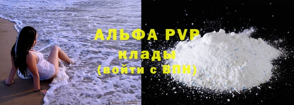 молекула духа Богородицк