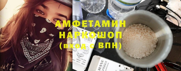 молекула духа Богданович
