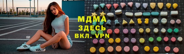 молекула духа Богородицк
