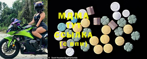 молекула духа Богородицк
