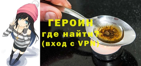 молекула духа Богородицк