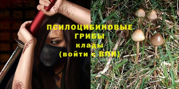 молекула духа Богородицк