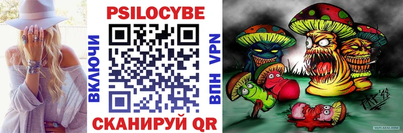 где найти наркотики  Валдай  Галлюциногенные грибы MAGIC MUSHROOMS 